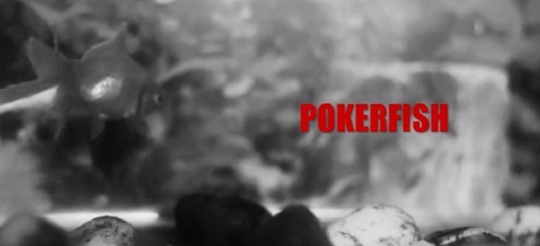 pokerfish